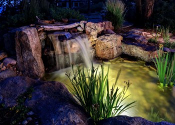 609-cliffgate-lane-castle-small-012-5-water-feature-666x444-72dpi